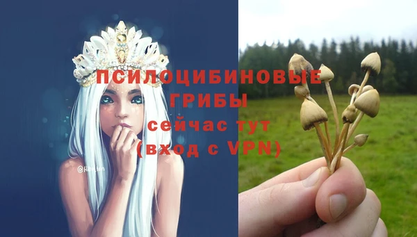 скорость mdpv Белая Холуница