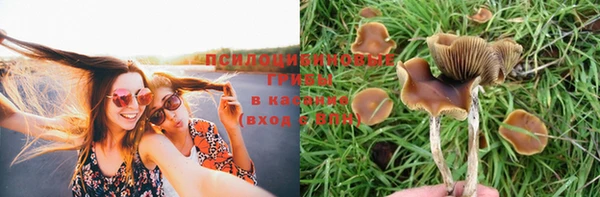 2c-b Бежецк