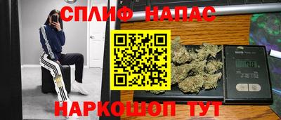 спиды Заводоуковск