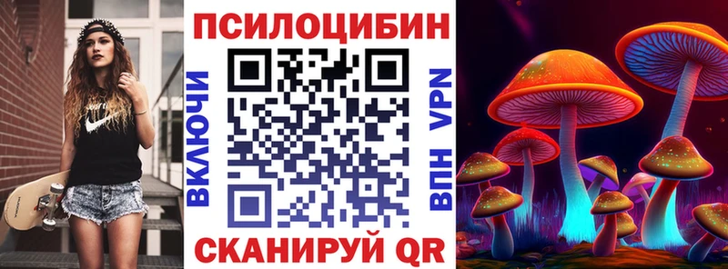 Галлюциногенные грибы Psilocybe  Подольск 