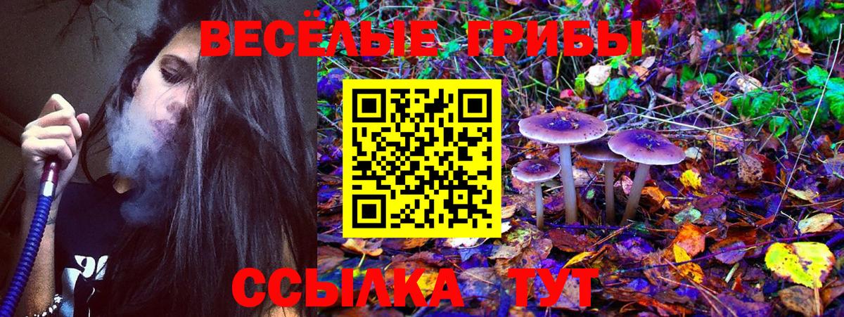 Псилоцибиновые грибы мухоморы Подольск
